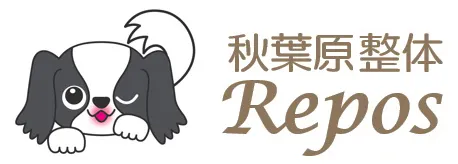 秋葉原整体_Repos＿rogo
